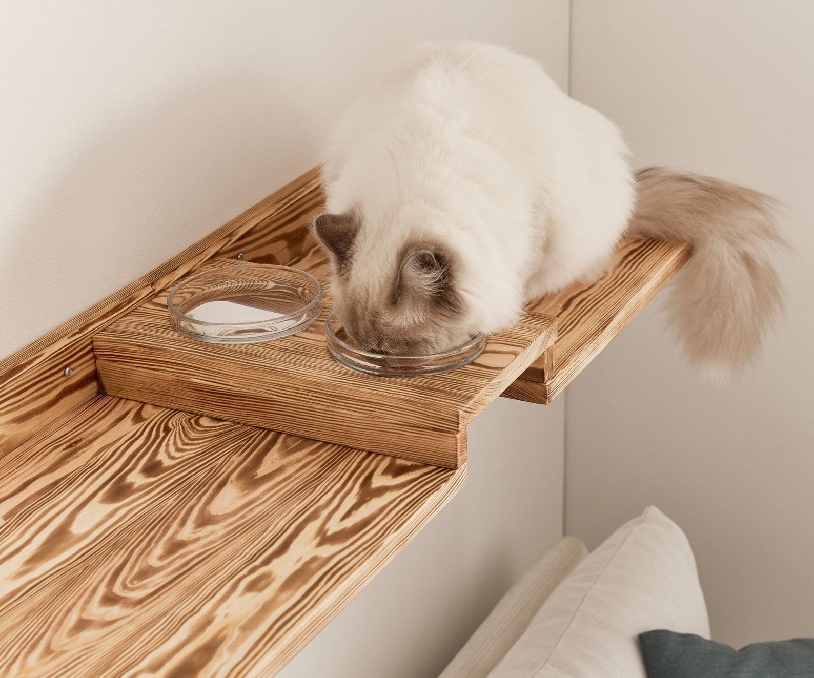 Wall Mounted Wood Cat Feeder Shelves Cat Feeding Shelf With 2 Etsy