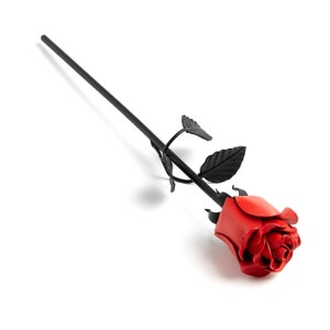 Iron Rose Sixth Wedding Anniversary Gift For Her Black With Red 6th 6 Anniversary Gifts For Wife image 2