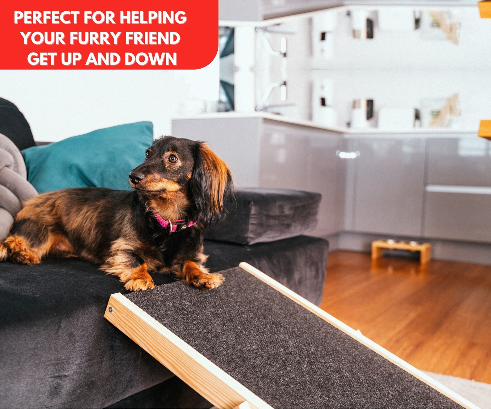 Folding Pet Ramp Natural Wooden Ramp for Dog Dog Steps for Etsy