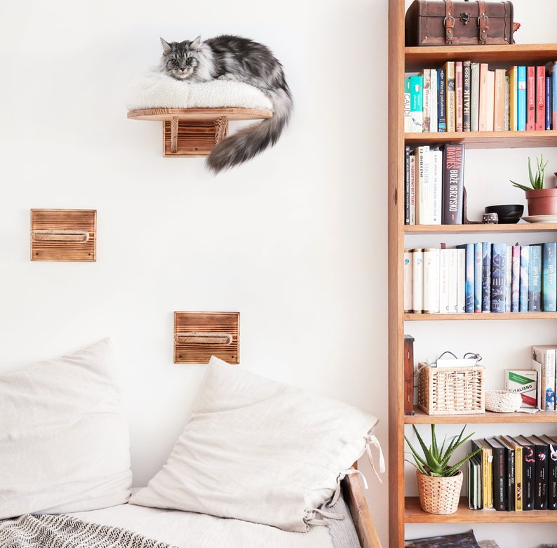 Large Wall Mounted Cat Perch Bed Platform With 3 Steps Solid Etsy