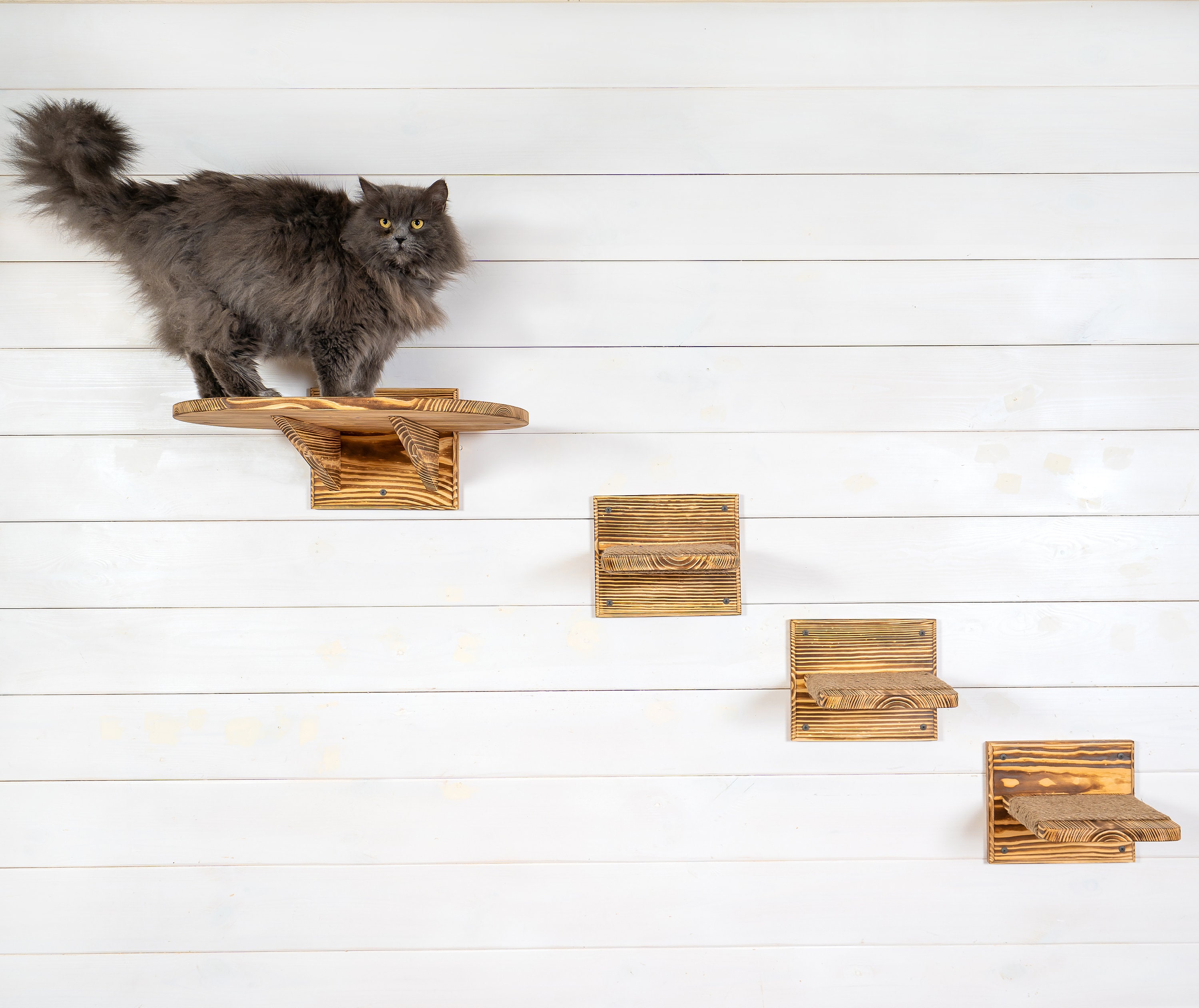 Escaleras flotantes para gatos / Cama flotante para gatos / Percha