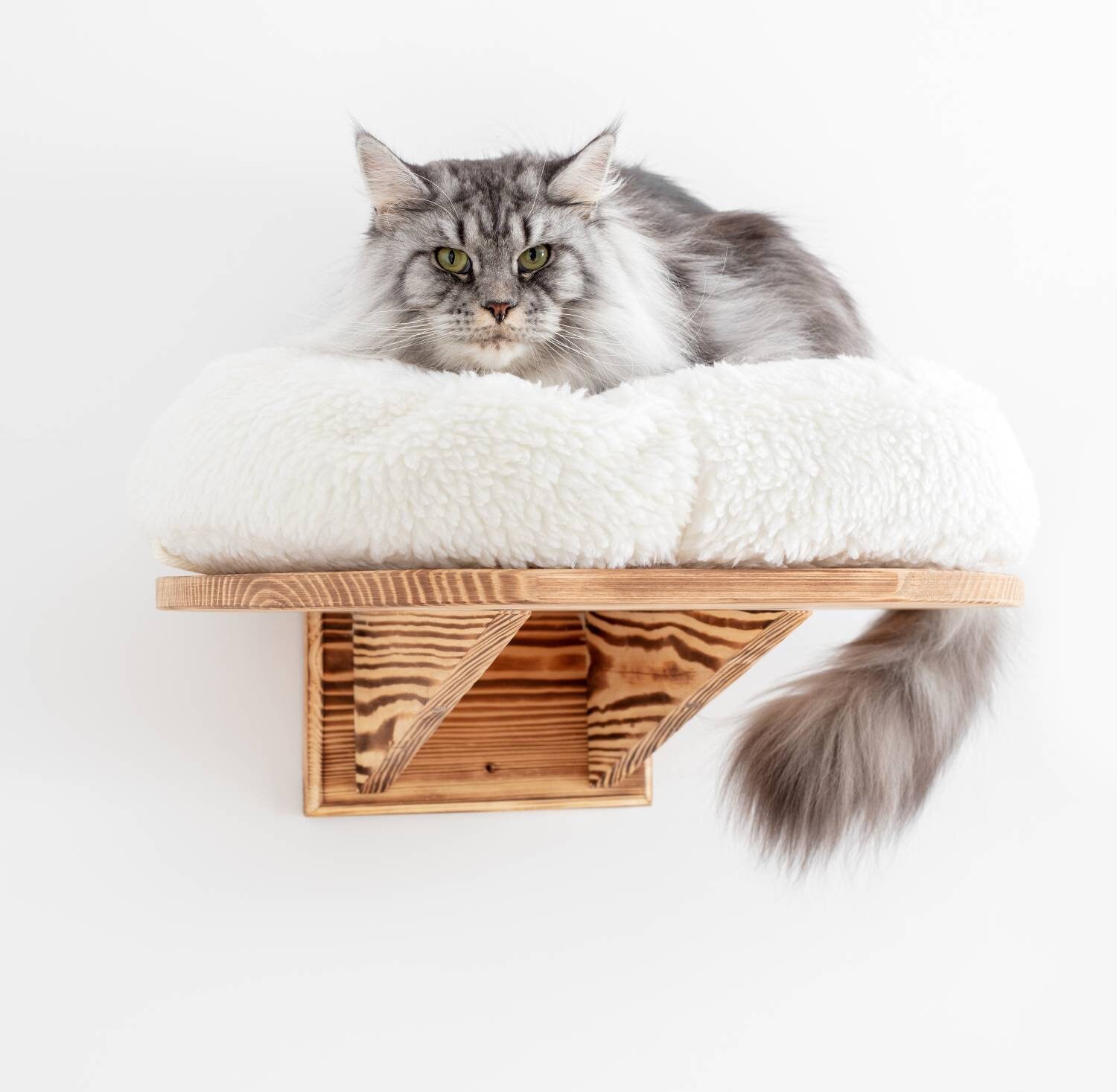 Grande Plate-Forme Murale de Lit Perche Chat - Étagère Traverse en Bois Massif avec Coussin Extra Do