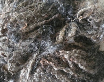 Gotland Lamb Curls, Gotland Fleece, Raw Fleece, Raw Sheeps Wool, Springy, curls, Felting, spinning, Fiber Ringlets, Virgin Wool