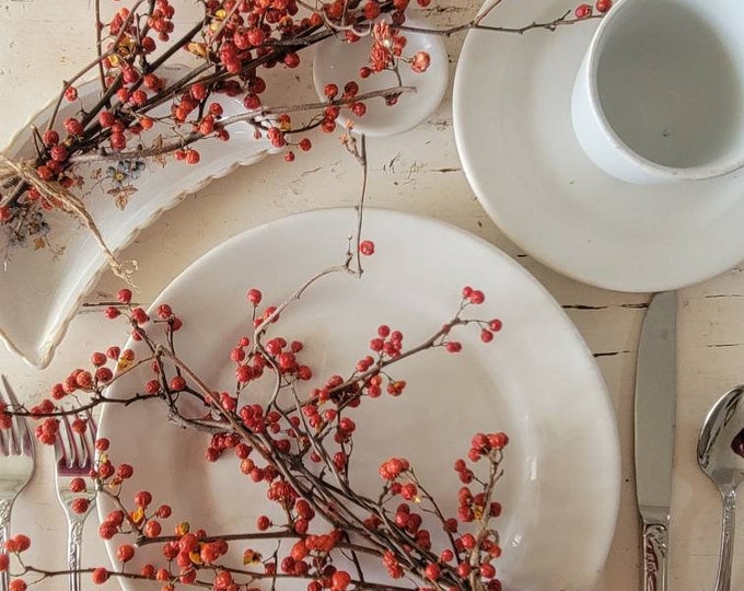 Bittersweet Bundle of Twigs and Berries, TWO SMALL Bouquets Real