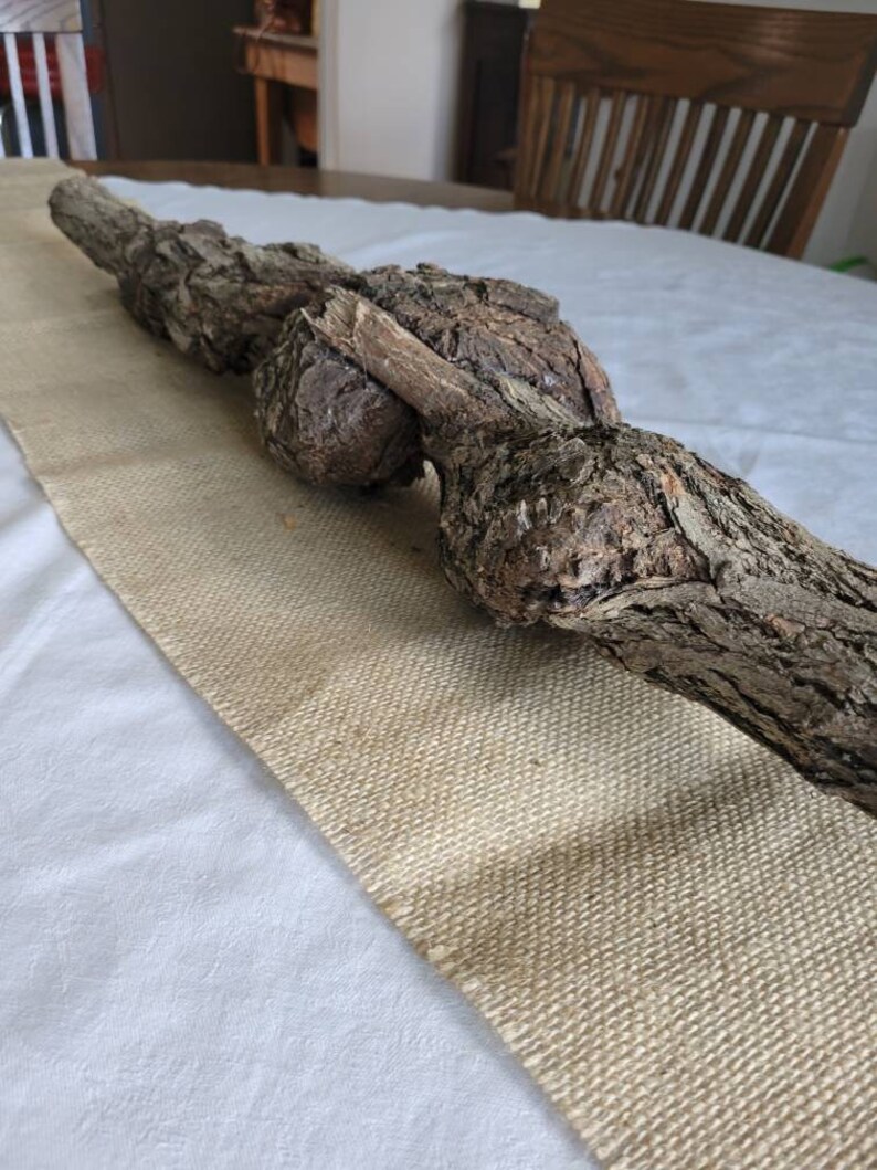 Curled Stick Naturally Twisted Stick Twisted Wood Log Etsy