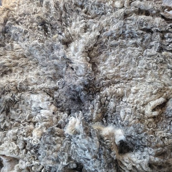 Sheep Fleece Etsy