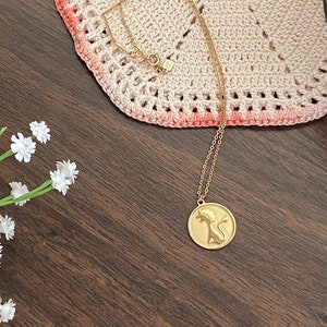 vintage kenmerk astrologie &quot;LEO&quot; gouden afwerking ketting leeuw gouden schijf munt hanger astrologisch teken ketting - roze eekhoorn vintage
