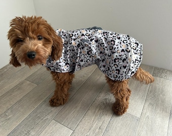 Softshell dog coat Leo grey, back length 25-55 cm