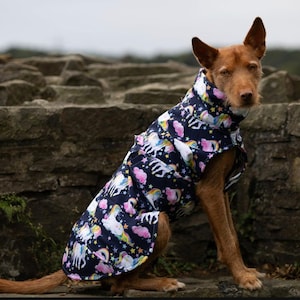 Softshell Hundemantel Musterauswahl