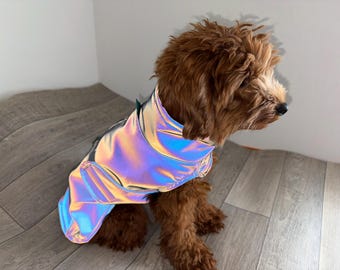 Softshell dog coat, reflective, back length 20-60 cm