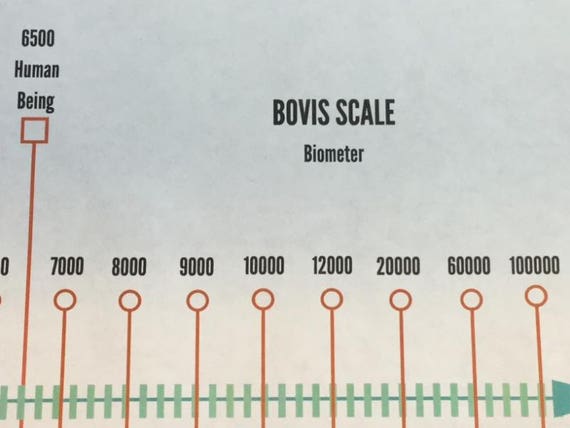 Bovis Scale Dowsing Chart