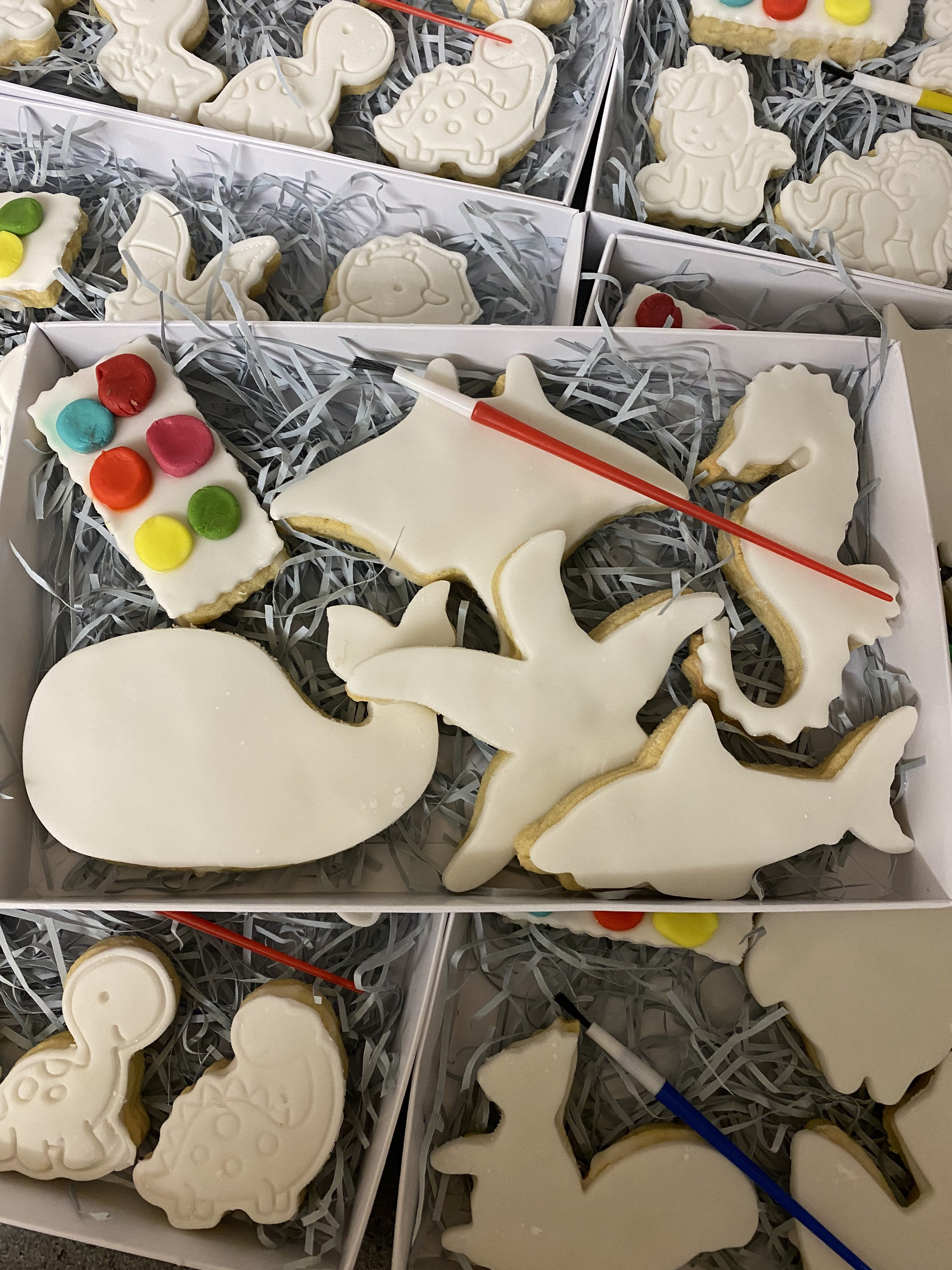 Paint Your Own Cookies Etsy UK