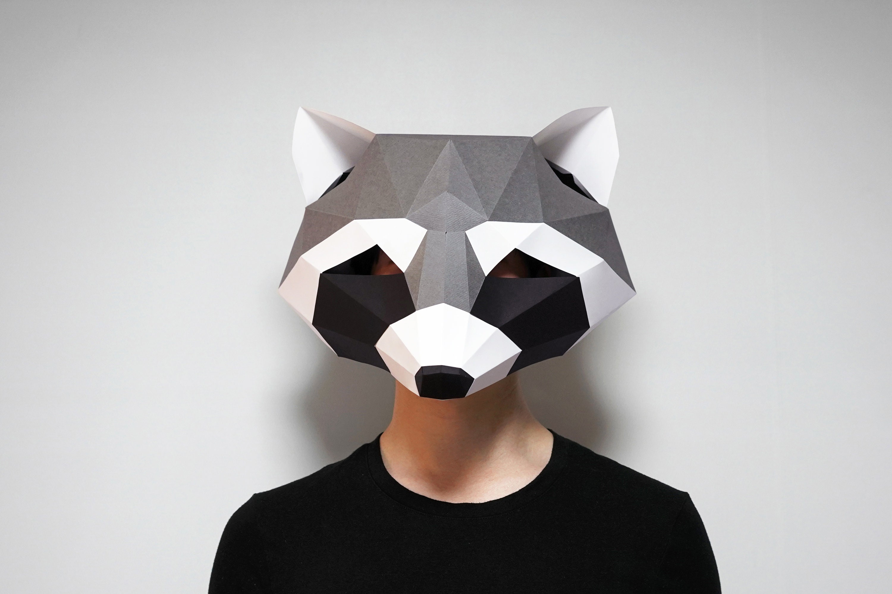 raccoon mask