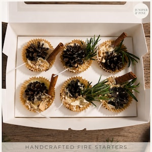 Handcrafted Fire Starters | Soy Wax & Canadian Beeswax Fire Starters | Pinecone Campfire Starter | Natural Fire Pit Starter | Set of 6