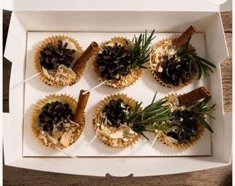 Acendedores de fogo artesanais | Acendedores de fogo de cera de soja e cera de abelha canadense | Acendedor de fogueira de pinha | Acendedor natural para fogueira | Conjunto de 6
