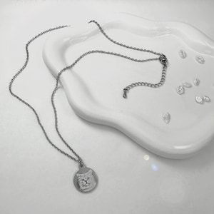 Op de afbeelding: Een zilveren ketting met een ronde hanger met een zwart-wit foto van een kattenkop.