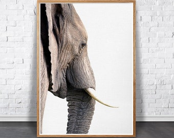 Elephant Print, Elephant Wall Art, Safari Nursery Print, Large Printable Poster, African Animal, Woodland Nursery, Digital Download Poster