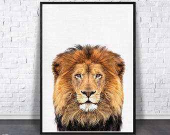 Lion Print, Printable Safari, Nursery Animal Art, Lion Photo, African Animal Decor, Kid Room Wall Print, Baby Shower Gift, Digital Download