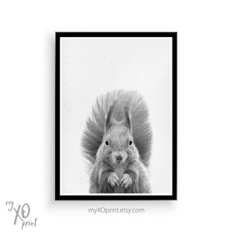 Woodland Animal, Wall Art, Animal Print, Black White Nursery, Squirrel