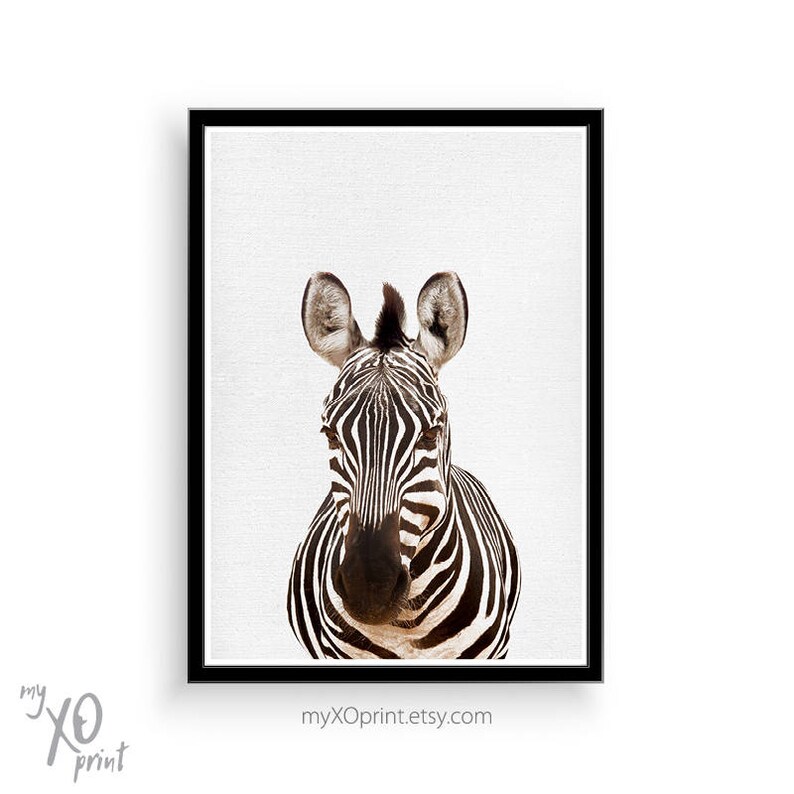 Zebra Print Nursery Animal Print Safari Nursery Decor Baby Etsy