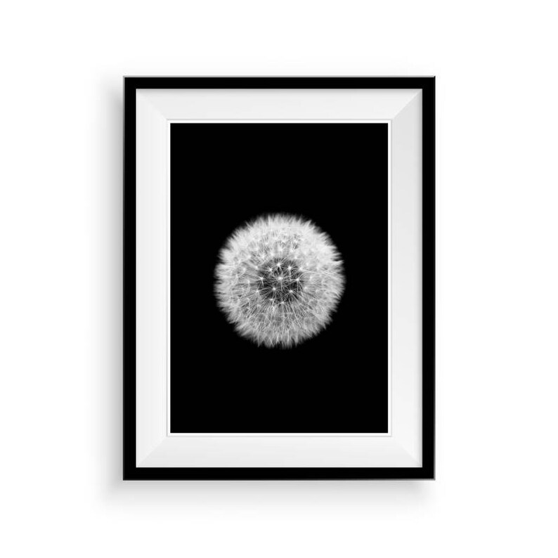 Make A Wish Art Dandelion Wall Print White Plant Print Etsy Make a wish art dandelion wall print white plant print etsy