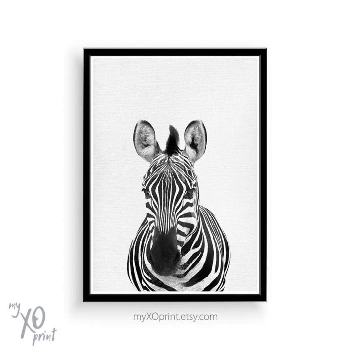 Zebra Print Baby Animal Nursery Art Black and White Art Etsy