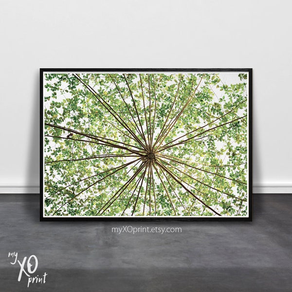 Nature Wall Art, Tree Leaves Print, Home Wall Decor, Printable Art, Green Tree, Digital Download, Modern Tree Decor, Branch Tree Photography