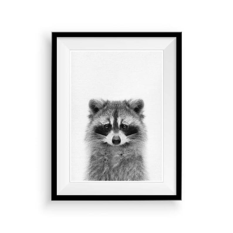 Raccoon Wall Art Nursery Animal Print PRINTABLE Art Etsy