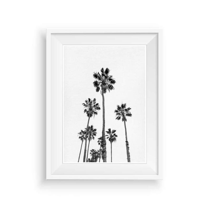 Palm Tree Print, Tropical Print, Black And White Palm, Printable Palm, California Tree Art, Tropical Wall Art, Tropical Decor, Large Poster image 5