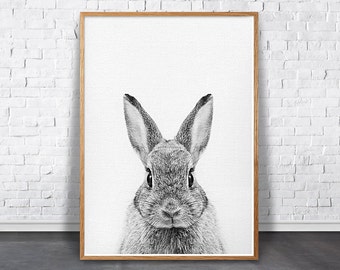 Bunny Print, Nursery Woodland Art, Rabbit Animal Print, Printable Bunny, Black And White Rabbit Photo, Forest Animal Print, Nursery Wall Art