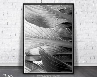 Leaves Wall Art Print, Black And White, Tropical Plant Photo, Printable Large Poster, Digital Download, Instant Download, Contemporary Decor