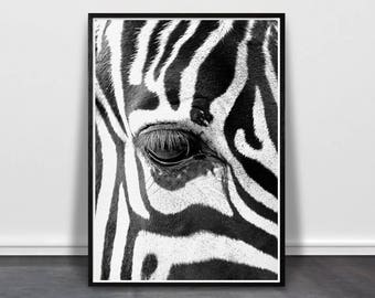 Zebra Print, Nursery Wall Art, Large Printable Art, African Animal Poster, Safari Nursery Decor, Digital Download Print, Black and White Art