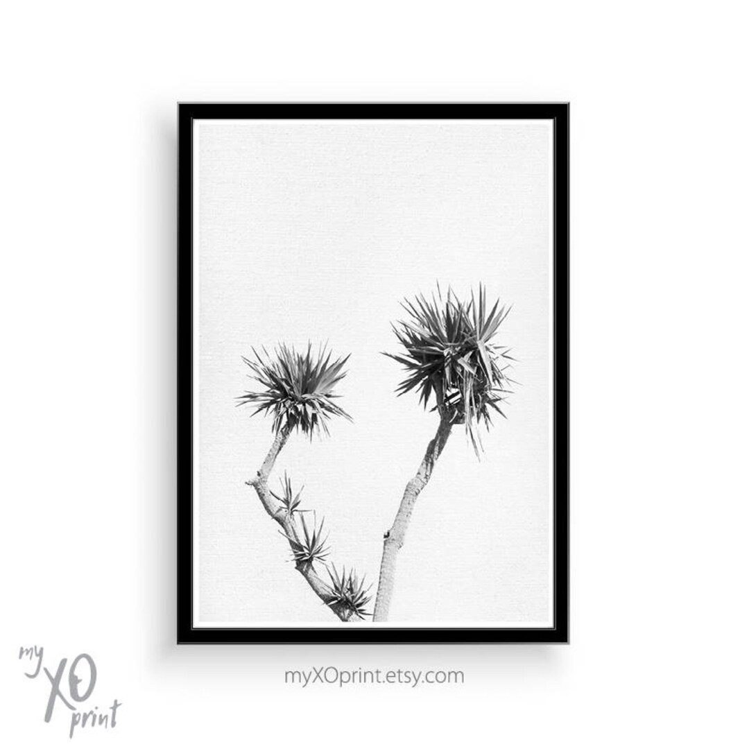 Modern Wall Decor, Black and White Art, Wall Art Print, Western Art