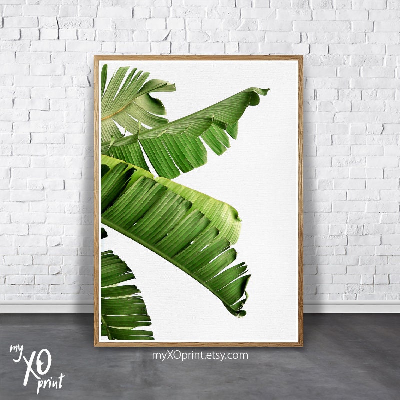 Tropical Plant Print Palm Leaf Art Banana Leaves Print Palm | Etsy