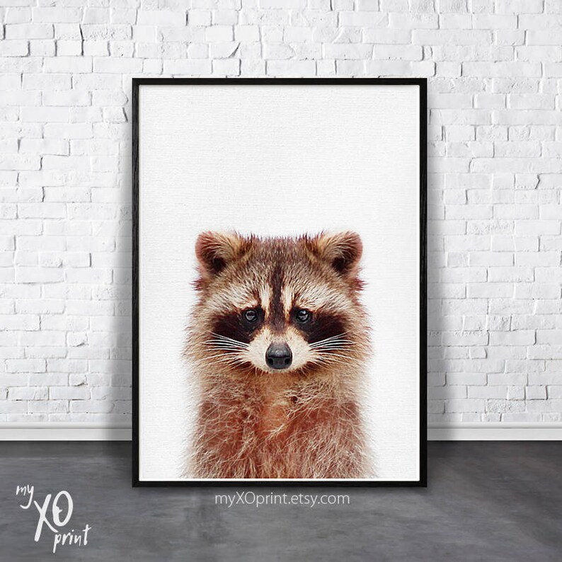 Baby Animal Nursery Art Animal Print Printable Art Nursery Poster Woodland Animal Raccoon Print Baby Room Print Nursery Wall Decor