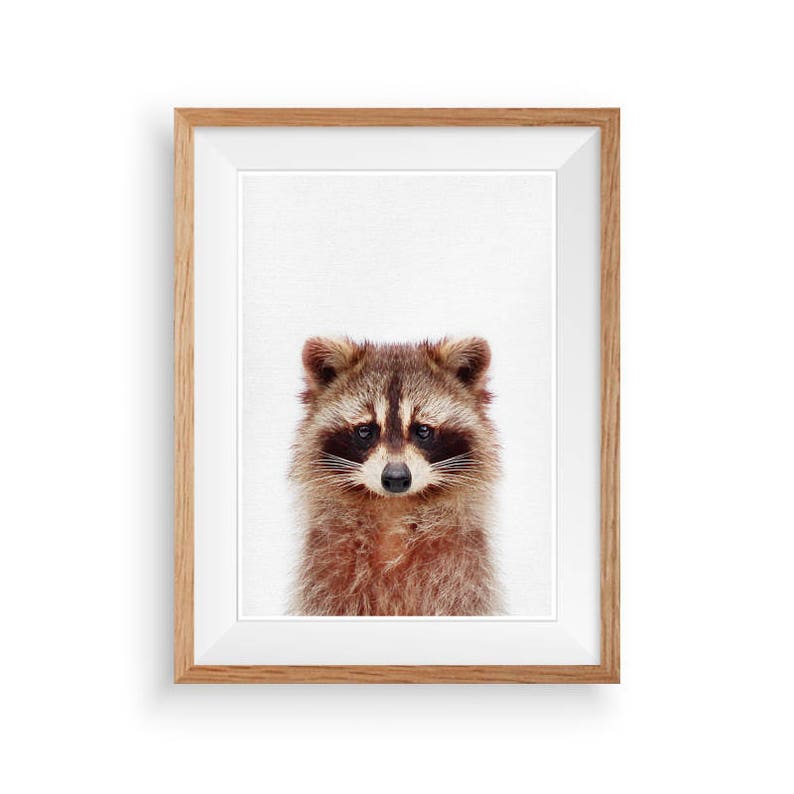 Baby Animal Nursery Art Animal Print Printable Art Nursery Poster Woodland Animal Raccoon Print Baby Room Print Nursery Wall Decor