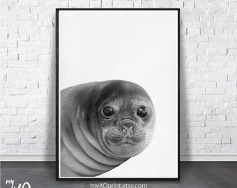 Baby Elephant Seal Print, Baby Animal Art, Nursery Wall Art, Black and White, Cute Sea Animal Print, Sea Life Print, Kids Room Printable Art