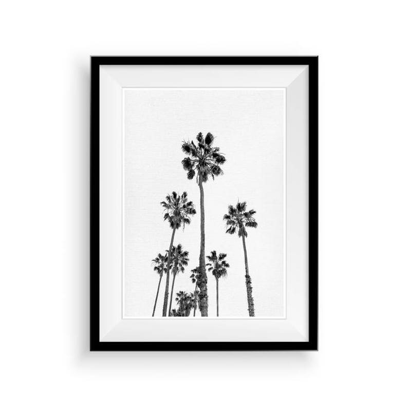Palm Tree Print, Tropical Print, Black And White Palm, Printable Palm, California Tree Art, Tropical Wall Art, Tropical Decor, Large Poster image 6
