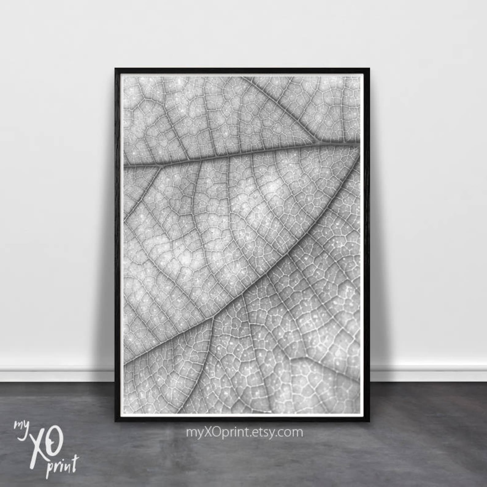 Printable Leaf Wall Art, Black and White Leaf Print, Instant Digital Download, Leaf Photo, Home