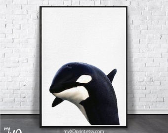 Whale Print, Sea Life Print, Nursery Wall Art, Baby Animal Poster, Fish Print, Ocean Print, Kids Room Poster, Printable Art, Orca Whale Art