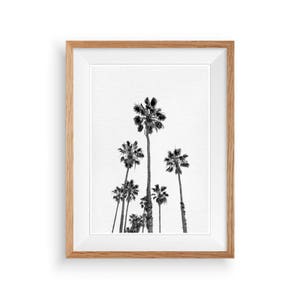 Palm Tree Print, Tropical Print, Black And White Palm, Printable Palm, California Tree Art, Tropical Wall Art, Tropical Decor, Large Poster image 7