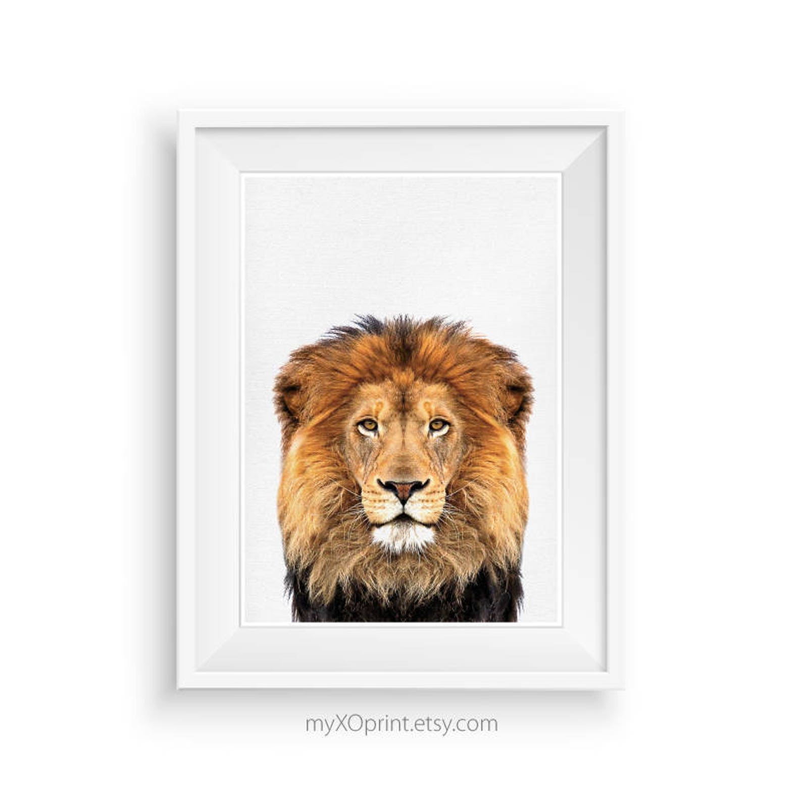 Lion Print Printable Safari Nursery Animal Art Lion Photo - Etsy
