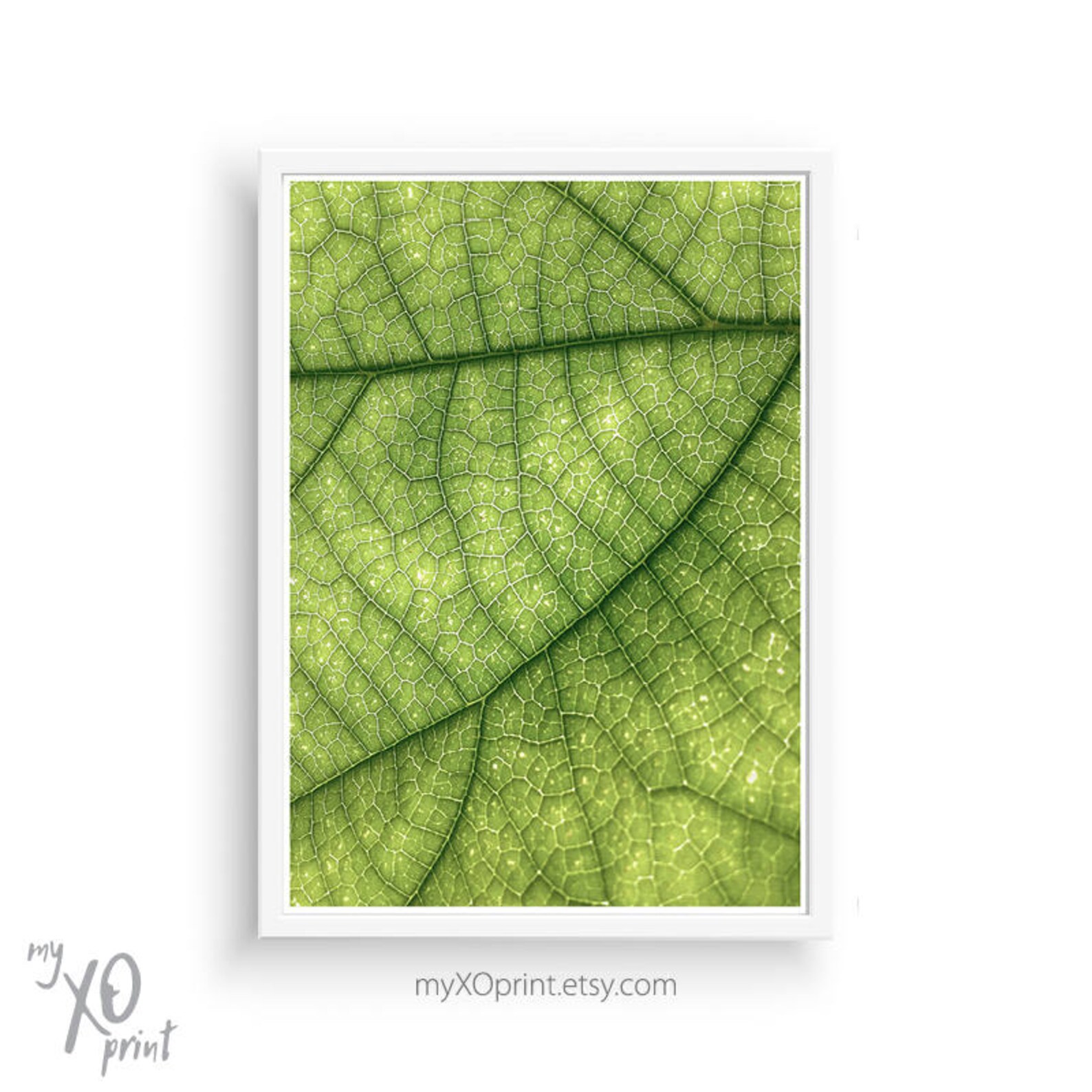 Green Leaf Print Modern Wall Decor Leaf Art Wall Art Print Etsy
