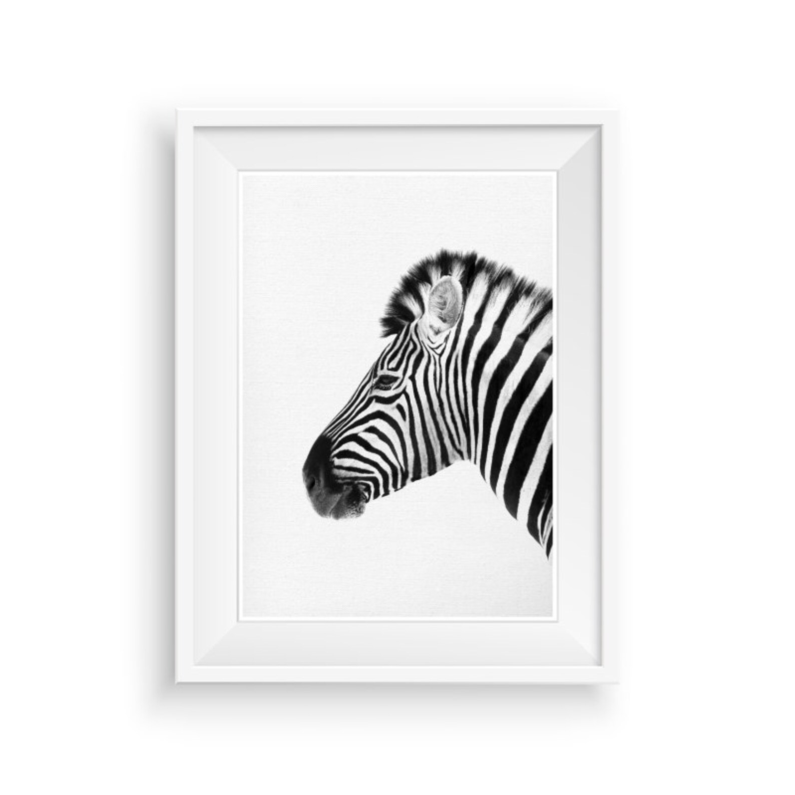 Zebra Print Nursery Wall Decor Safari Wall Art Animal Etsy