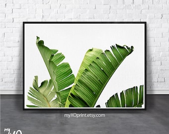 Tropical Plant Print, Palm Leaf Art, Banana Leaves Print, Palm Wall Art, Tropical Leaves, Printable Green, Palm Photography, Botanical Print