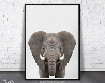 Elephant Print, Nursery Animal Print, Safari Wall Art, African Animal, Printable Elephant, Boy Room Poster, Animal Print, Animal Photography