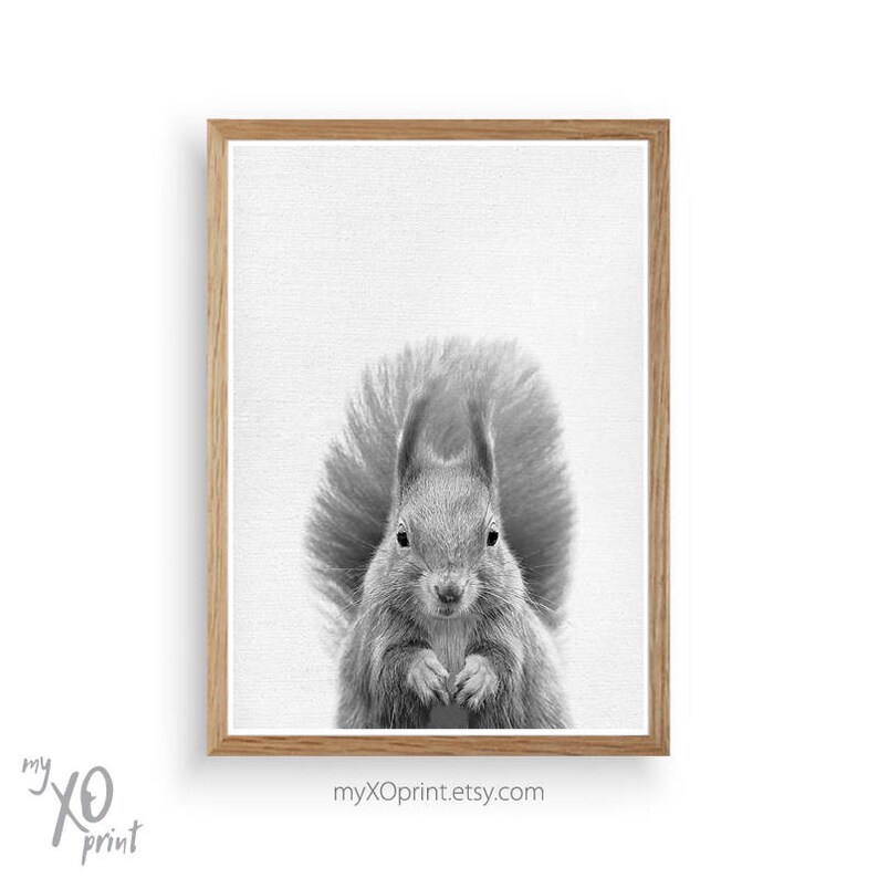 Woodland Animal, Wall Art, Animal Print, Black White Nursery, Squirrel