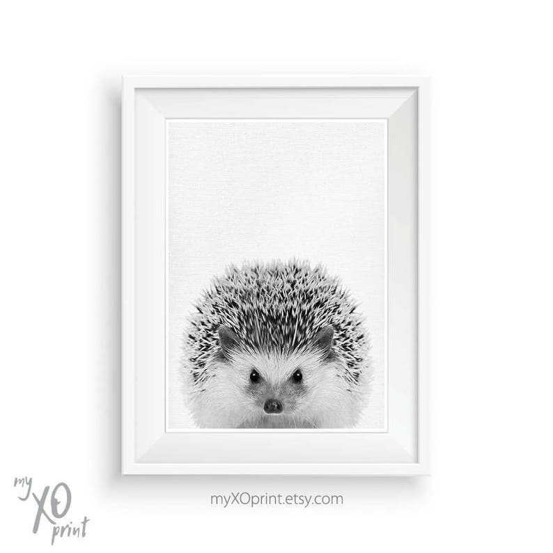 Nursery Animal Wall Art, Hedgehog Print, Woodland Animal Printable Art