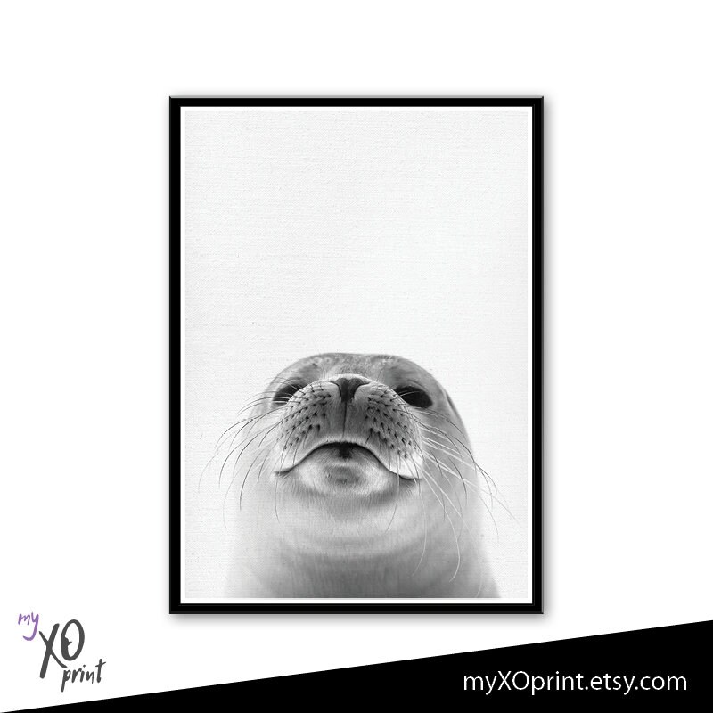 Seal Print Nursery Wall Art Sea Animal Print Black and Etsy