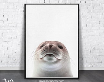 Nursery Wall Art, Seal Print, Printable Poster, Sea Animal Print, Baby Animal Print, Sea Life Print, Cute Animal Print, Kids Room Printable